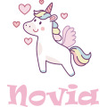 12-novia